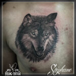 Tatouage - Portrait de loup en noir et gris réaliste sur le pec